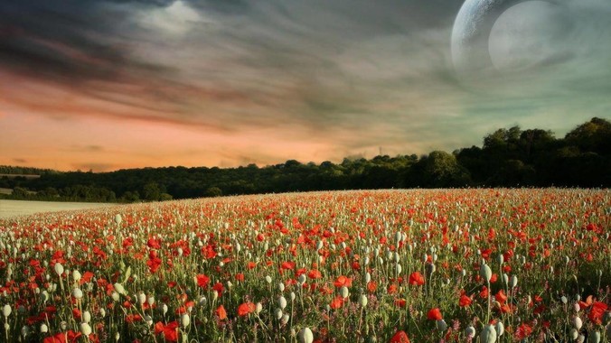 如何看待日本小学校园餐只有一小块鸡肉？